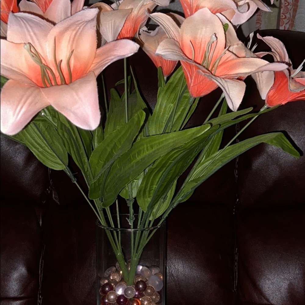 Meet your Posher, Aisha